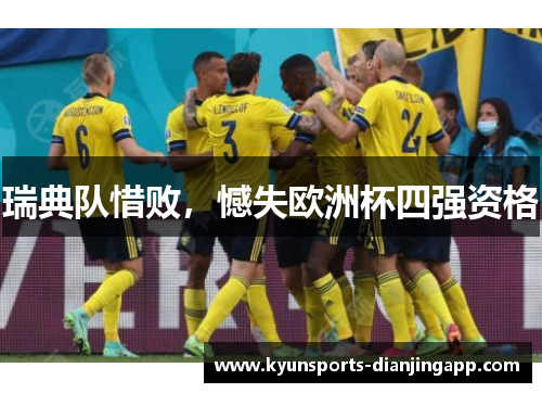 瑞典队惜败，憾失欧洲杯四强资格