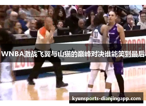 WNBA激战飞翼与山猫的巅峰对决谁能笑到最后